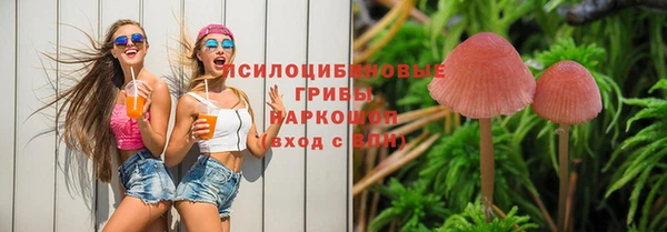 прущие крисы Новозыбков