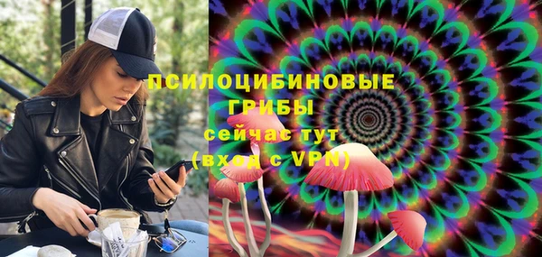 крисы Алексеевка