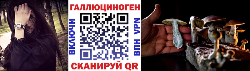 наркотики  мега зеркало  Псилоцибиновые грибы Cubensis  Королёв 
